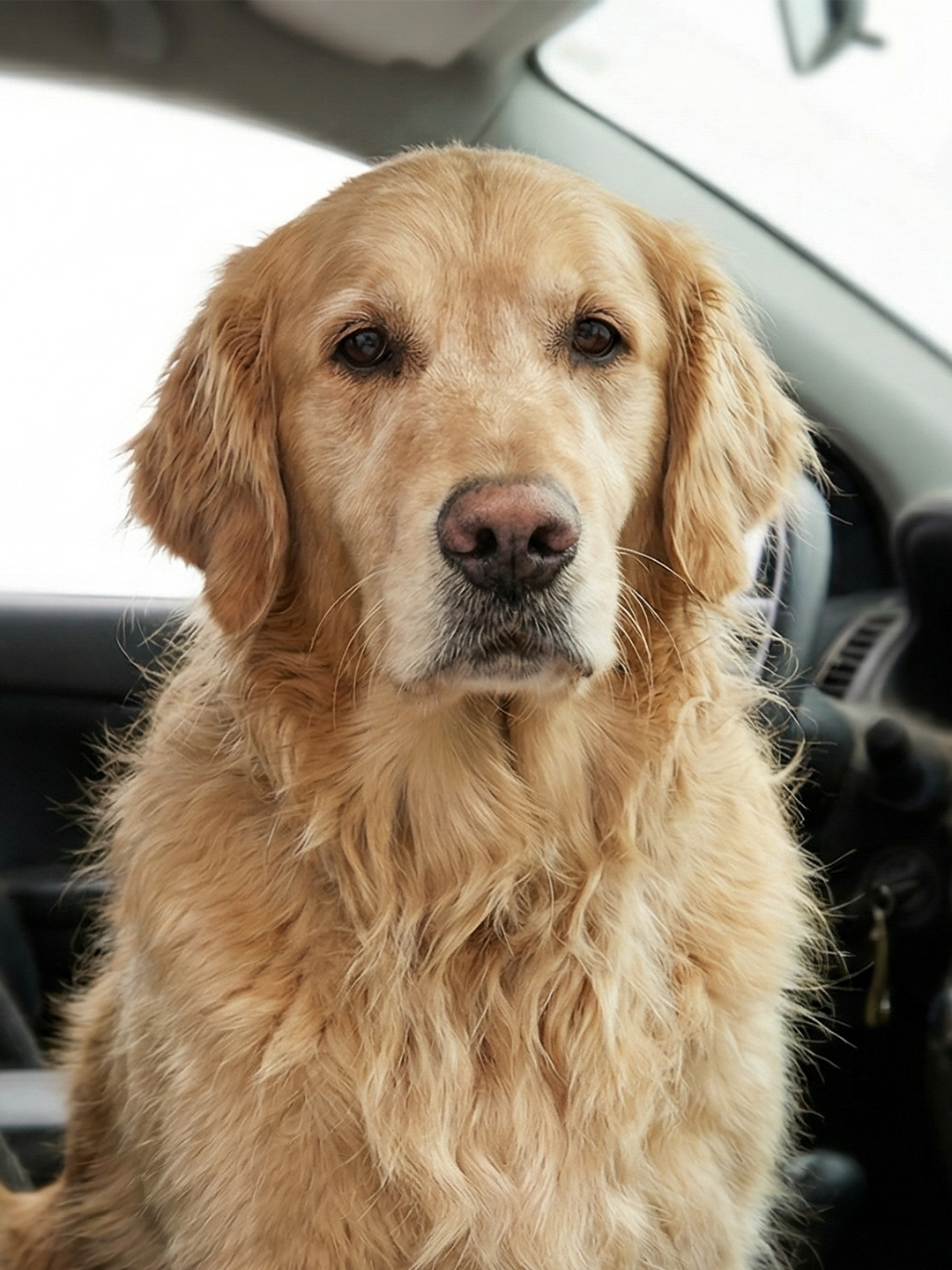 It’s not just about visible dirt image