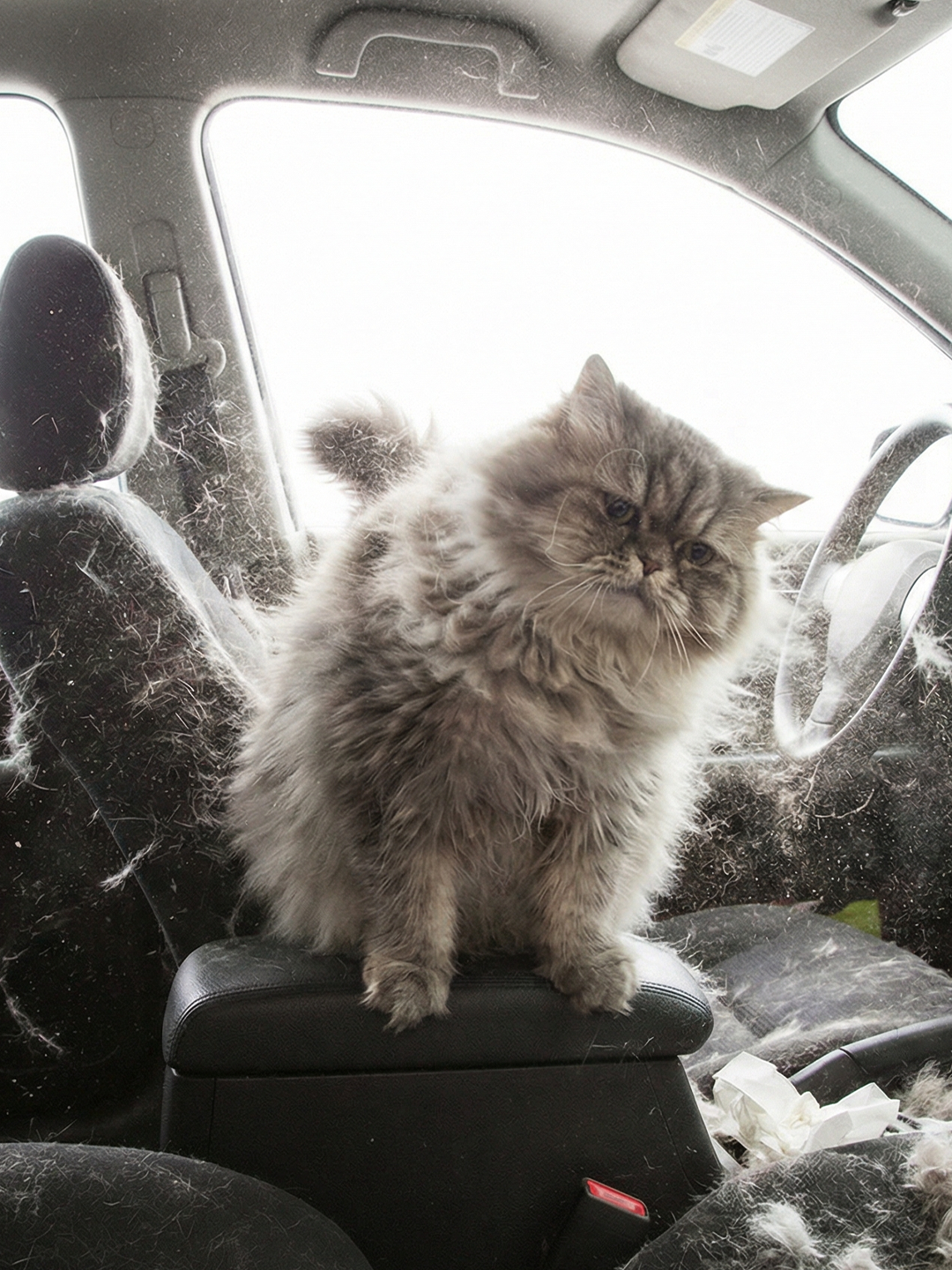 Why the cabin environment matters image